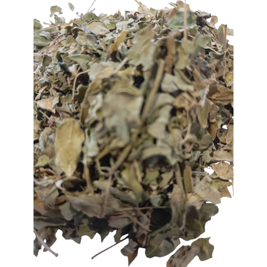 Dr. Fish - Moringa levél (5g/csomag)