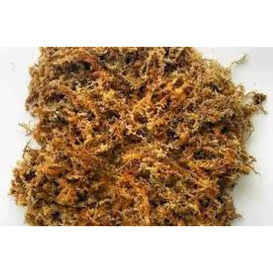 Hobby Sphagnum moha préselt 100 g