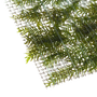 Kép 3/3 - Tropica Fissidens fontanus moha