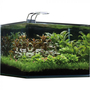 Kép 2/3 - Dennerle Scaper's Tank Basic LED - akvárium szett szűrővel, LED 5.0 világítással - 35l