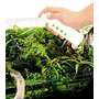Kép 2/2 - ADA DOOA WABI-KUSA Mist -Wabi Kusa spray, táp víz felett nevelt növényekhez