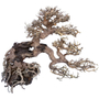 Kép 1/2 - Amtra bonsai fa WOOD ORIENTAL WIND 7 M 25x10x20cm