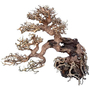 Kép 2/2 - Amtra bonsai fa WOOD ORIENTAL WIND 7 M 25x10x20cm