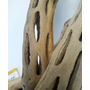 Kép 3/4 - SUKA WOOD - Kaktusz törzs  18-27 cm