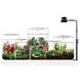 Kép 2/3 - Bioloark Luji Glass Cup MY-150