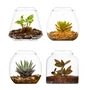 Kép 5/5 - Bioloark Bubble Cup FOUR