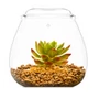 Kép 1/5 - Bioloark Bubble Cup FOUR