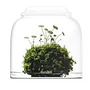 Kép 1/5 - Bioloark Bubble Cup ONE