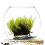 Kép 1/5 - Bioloark Bubble Cup THREE