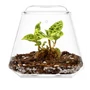 Kép 1/5 - Bioloark Bubble Cup TWO