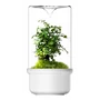 Kép 1/2 - Bioloark Luji Glass Cup MH-80 (fehér)