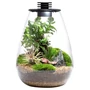 Kép 1/8 - Bioloark Bio Bottle SD200