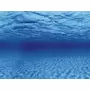 Kép 3/3 - AquaNova akvárium háttér poszter (gyökerek/víz) 60x30