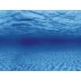 Kép 3/3 - AquaNova akvárium háttér poszter (gyökerek/víz) 100x50