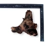 Kép 2/7 - MOPANI M (~32-38cm) - Mopani gyökér / db