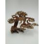 Kép 2/5 - Bonsai Wood - Bonsai fa 15 -20 cm /db
