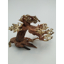 Kép 3/4 - Bonsai Wood - Bonsai fa 12 -14 cm