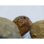 Kép 2/5 - Dinoszaurusz tojás dekorkő / kg