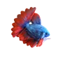 Kép 1/2 - Nature4pets Betta plüss