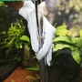 Kép 5/5 - JBL Proscape Cleaning kesztyű