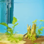 Kép 10/11 - Oase BioPlus 50 - belső szűrő