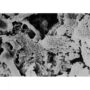 Kép 3/3 - Seachem Matrix - Biológiai szűrőanyag - 500 ml