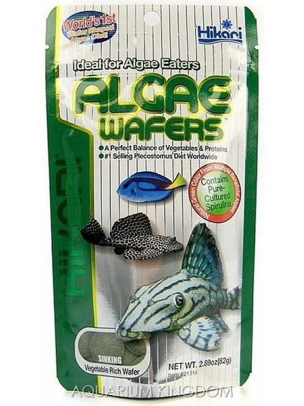 algae wafers hikari